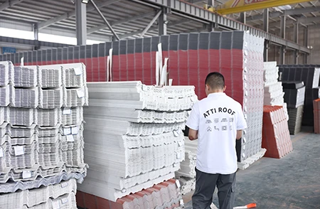 Registro de inspe&ccedil;&atilde;o aleat&oacute;ria